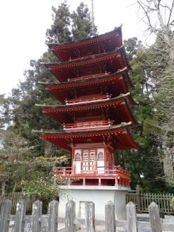 Japaense Tea Gardens
